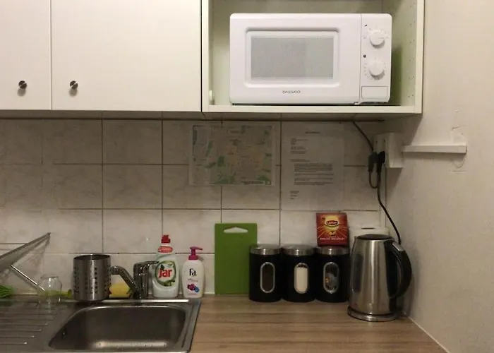 Stylish Flat In - Vinohrady براغ