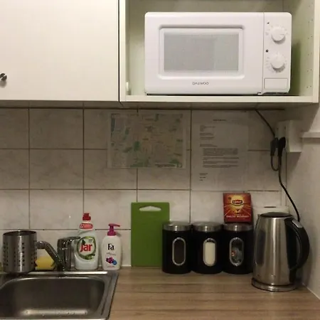 Stylish Flat In - Vinohrady פראג